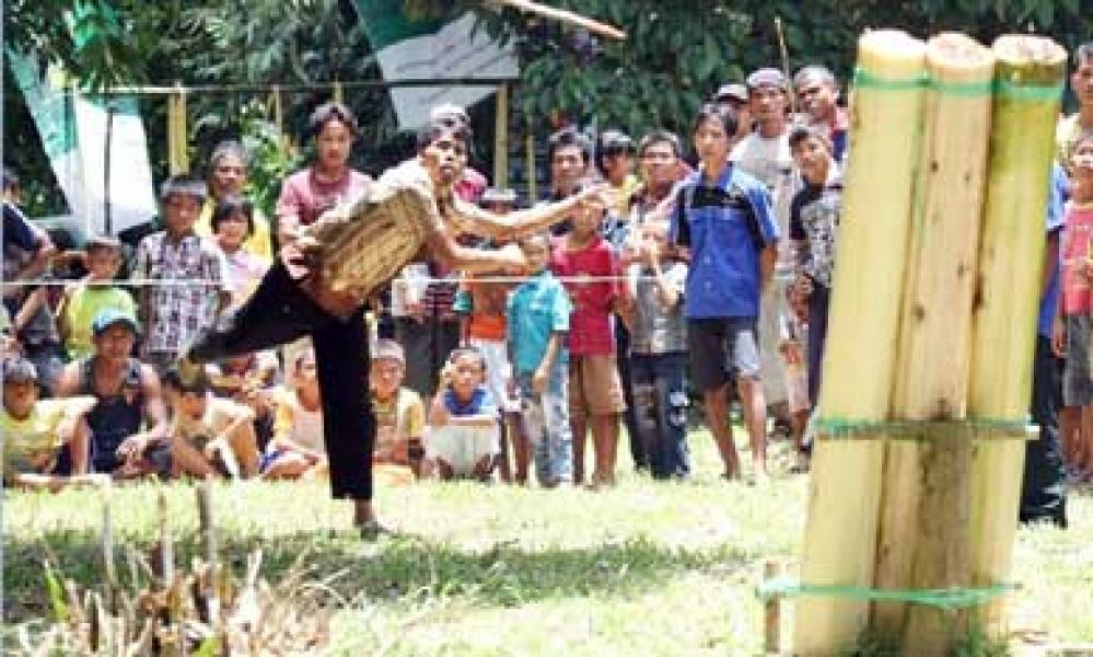 Bupati Buka Festival Budaya Batang Gansal