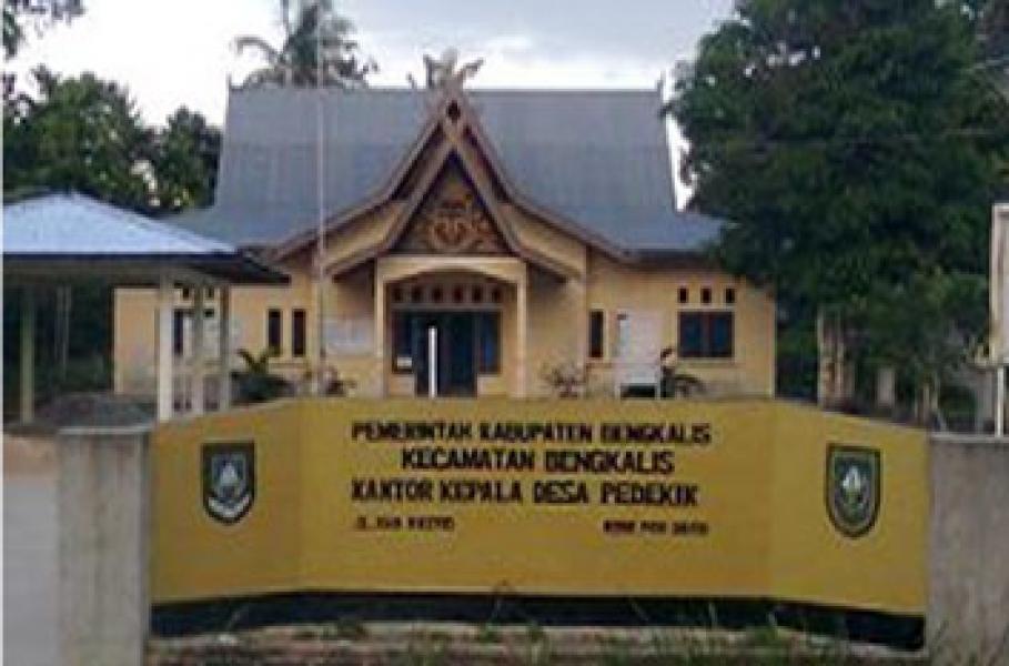 Desa Pedekik Satu Satunya Desa Memiliki Website