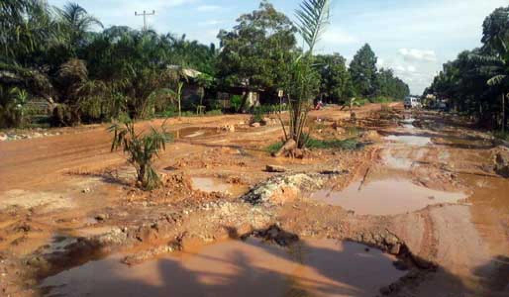 Jalan Lintas Kubu Ditumbuhi Sawit dan Pohon Pisang