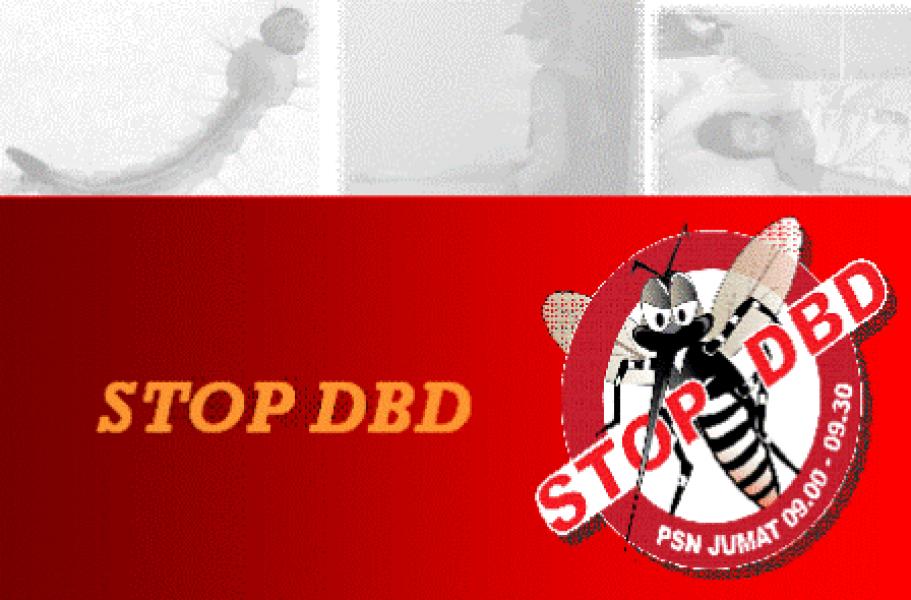 Kasus DBD di Kabupaten Siak Capai 147 Orang