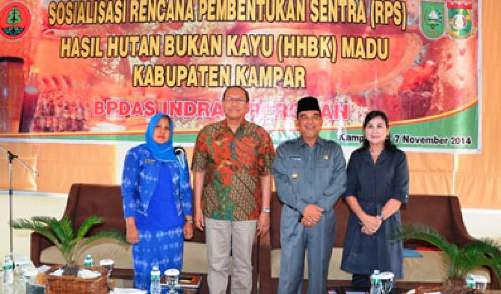 Sosialisasi Pengembangan Sentra Madu Kabupaten Kampar