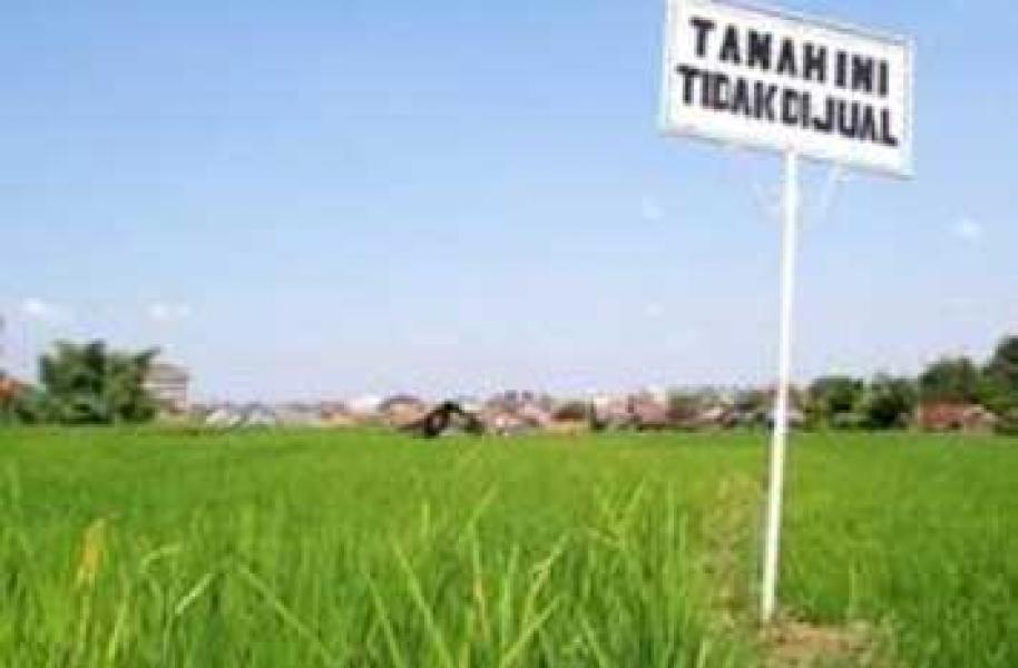 Supardi Laporkan Kasus Dugaan Penipuan Lahan di Desa Talang Mulia Ke Polisi