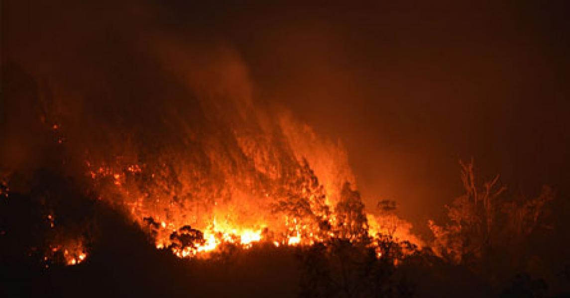 Api Membara di Taman Nasional Gunung Merapi