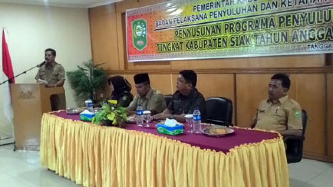 BPPKP Siak Gelar Penyusunan Program Penyuluhan Tingkat Kabupaten Siak 2015