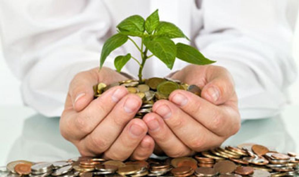 Lima Peluang Usaha Berprospek Cerah Namun Minim Pesaing