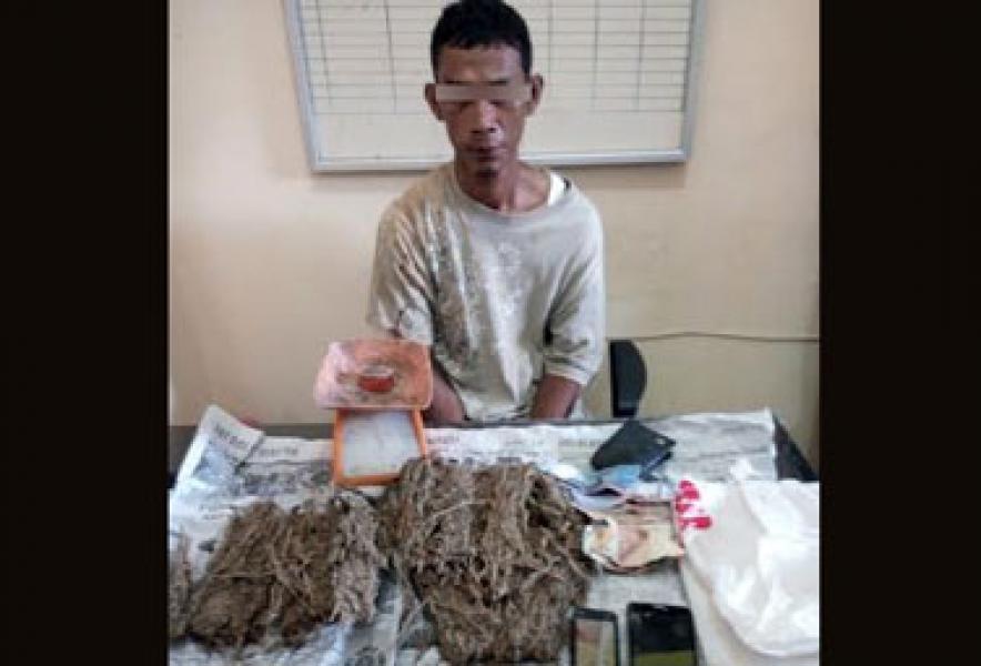 Polres Rohul Amankan Dua Tersangka Berikut Ganja Seberat 1/5 Kg
