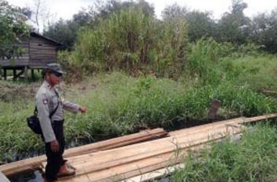 Polsek Teluk Meranti Amankan Dua Kubik Kayu Olahan Tak Bertuan