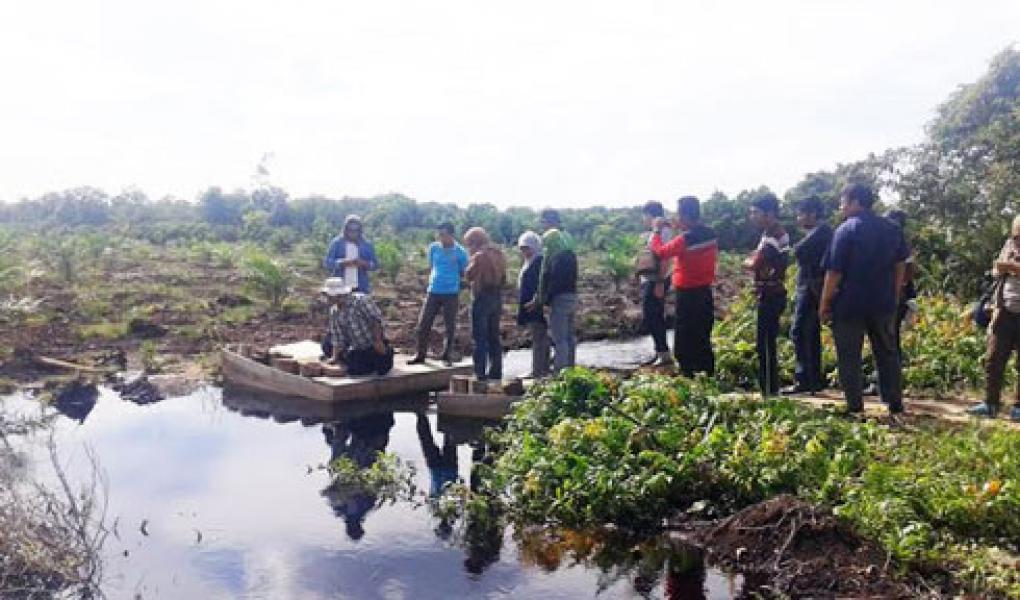UNDP REDD+ Bantu 4 Desa Bangun Sekat Kanal