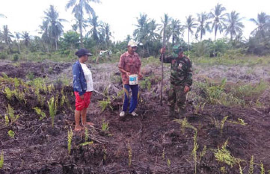 Babinsa Koramil 05/GAS Berikan Pendampingan Pertanian Di Desa Parit Baru