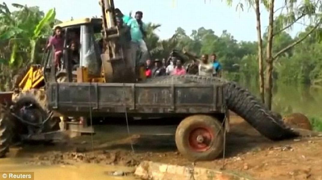 Buaya Raksasa Tertangkap di Sri Lanka
