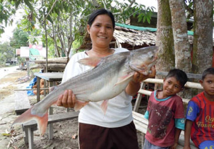 Hasil Non Kayu di KPH Tasik Bersar Serkap Menjanjikan
