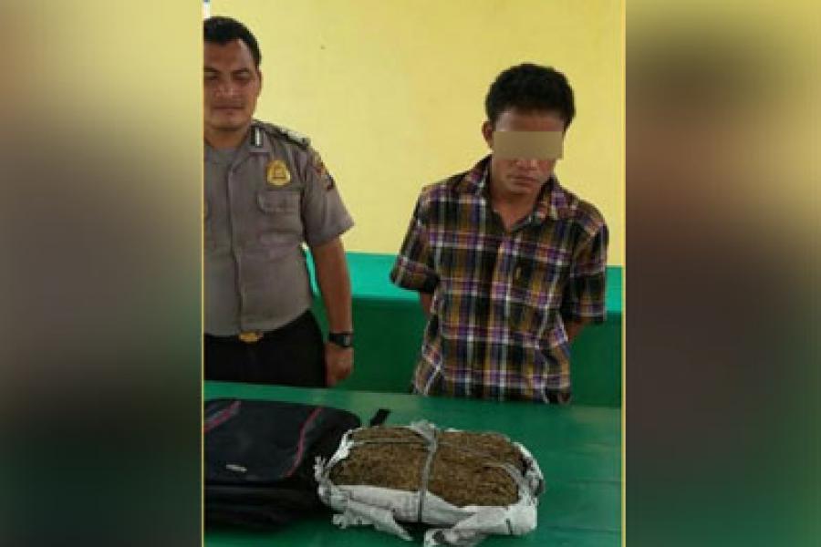 Kehabisan Bensin, Residivis di Rohil Tertangkap Bawa Paket Besar Ganja