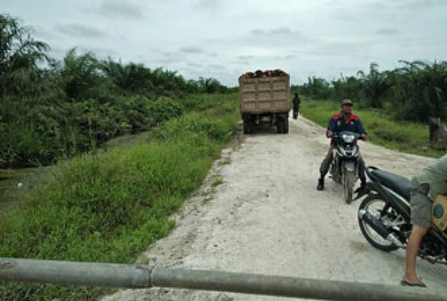 Langgar Izin dan Kuasai Lahan Warga, PT Palma I Dilapor Ke Bareskrim Polri dan KPK