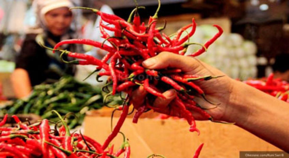 Si Pedas yang Semakin Tak Merakyat