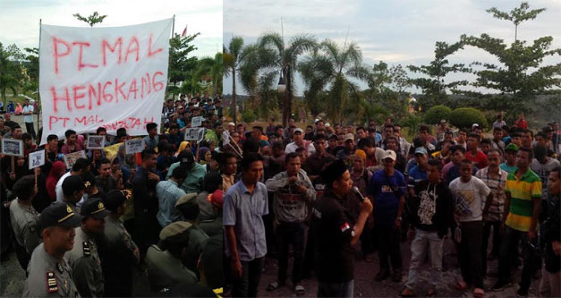 Tuntut PT MAL, Ribuan Massa BRB Kerumutan Gelar Aksi di Kantor Bupati dan DPRD Pelalawan