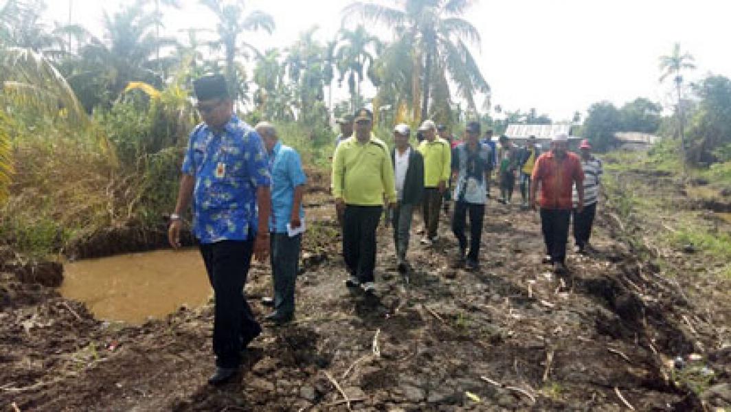 Upaya Perbaikan Kebun Kelapa, Disbun Inhil Tinjau Pembangunan Tanggul