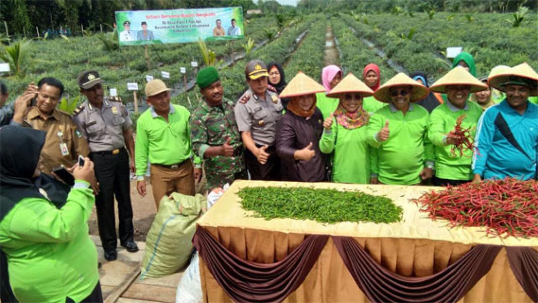 Babinsa Koramil 07/Bukit Batu Panen Raya di Desa Parit I Api-api