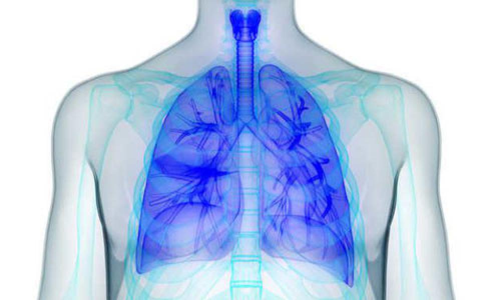 4 Cara Membersihkan Paru-Paru Perokok Secara Alami