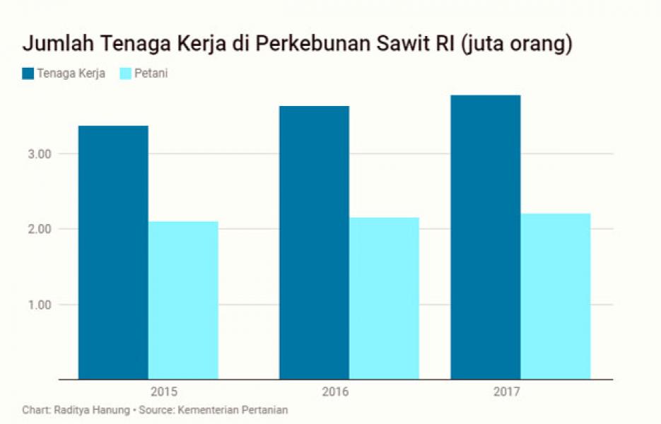 Harga CPO Anjlok, 450 Ribu Lapangan Kerja Sirna