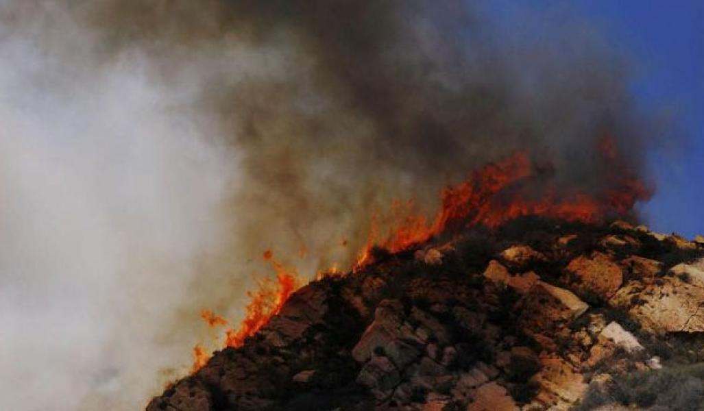 Kebakaran Hutan, Ribuan Warga Australia Dievakuasi