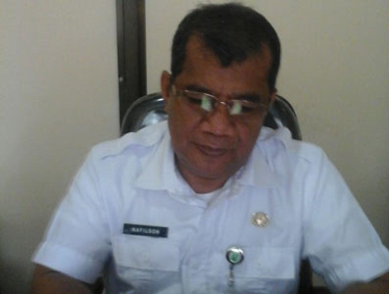 Kerjasama dengan Jasindo, Sapi Bantuan Pemprov Riau Diasuransikan