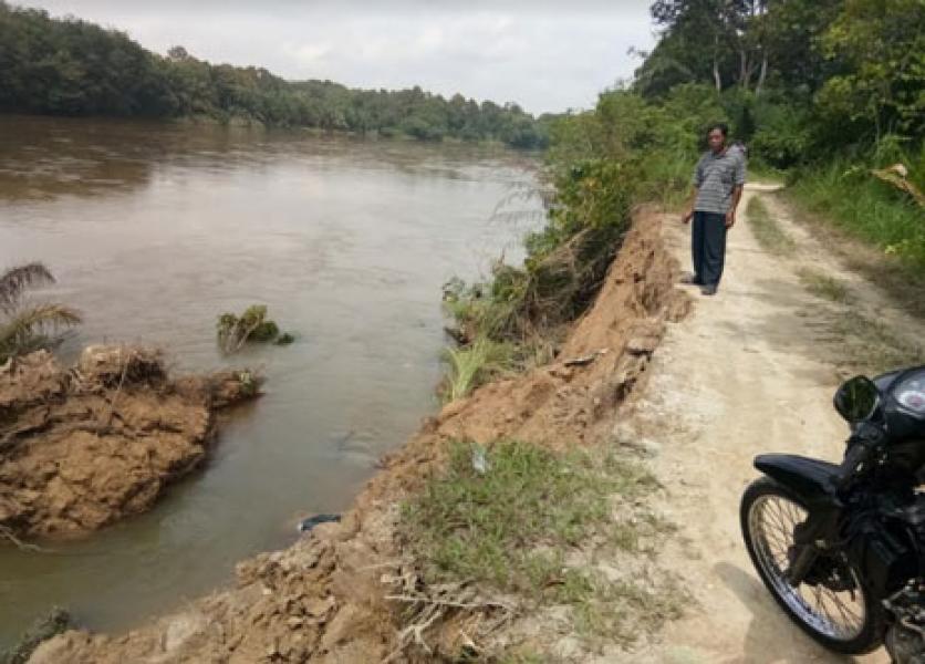 Rawan Longsor, Desa Koto Perambahan Minta Pembangunan Turap
