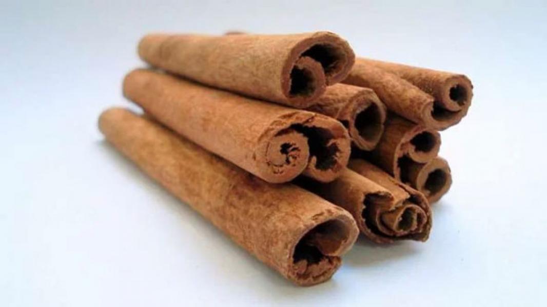 Ampuh Turunkan Gula Darah, 3 Tanaman Herbal Ini Bantu Cegah Diabetes