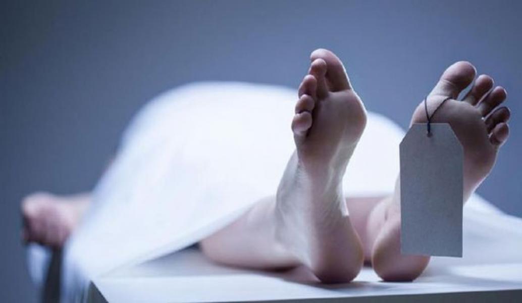 Diduga Curi Pisang, Pria di Sumut Tewas Digigit 4 Anjing