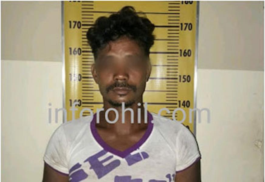 Penebang Kayu di Pujud Tewas Ditebas Rekan Sekerjanya