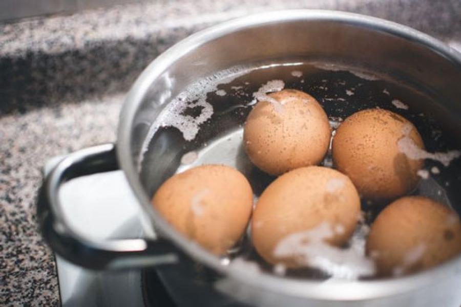 Penelitian IPEN: Telur Ayam di Tropodo Tercemar Racun