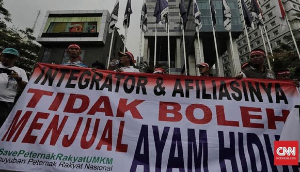Peternak Rugi Rp2 T Karena Banjir Impor Ayam