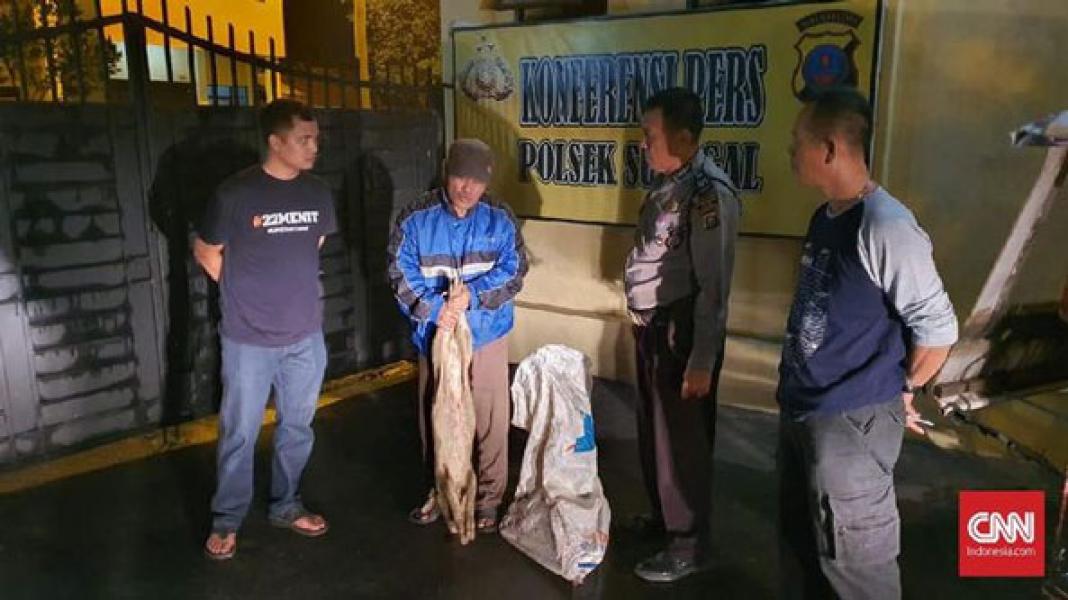 Polisi Tangkap Pembuang Bangkai Babi di Sungai Sumut