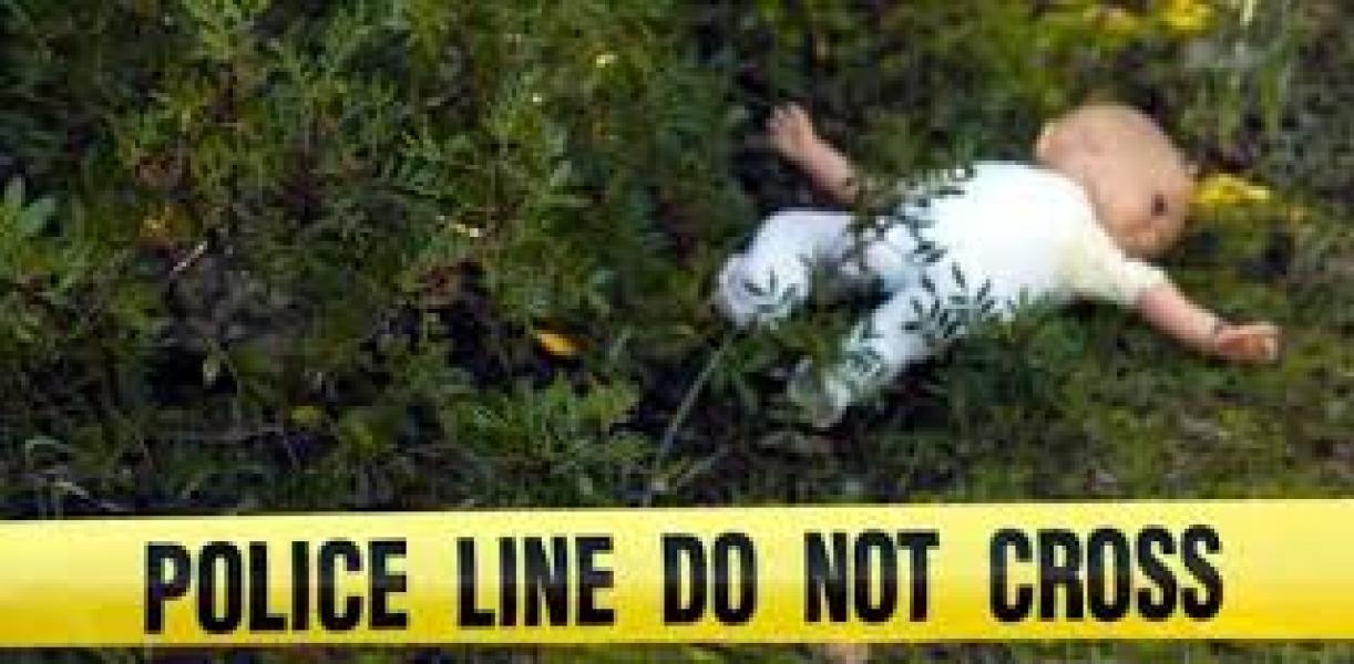 Polres Siak Buru Ortu Pembuang Bayi Perempuan di Kebun Sawit Warga 