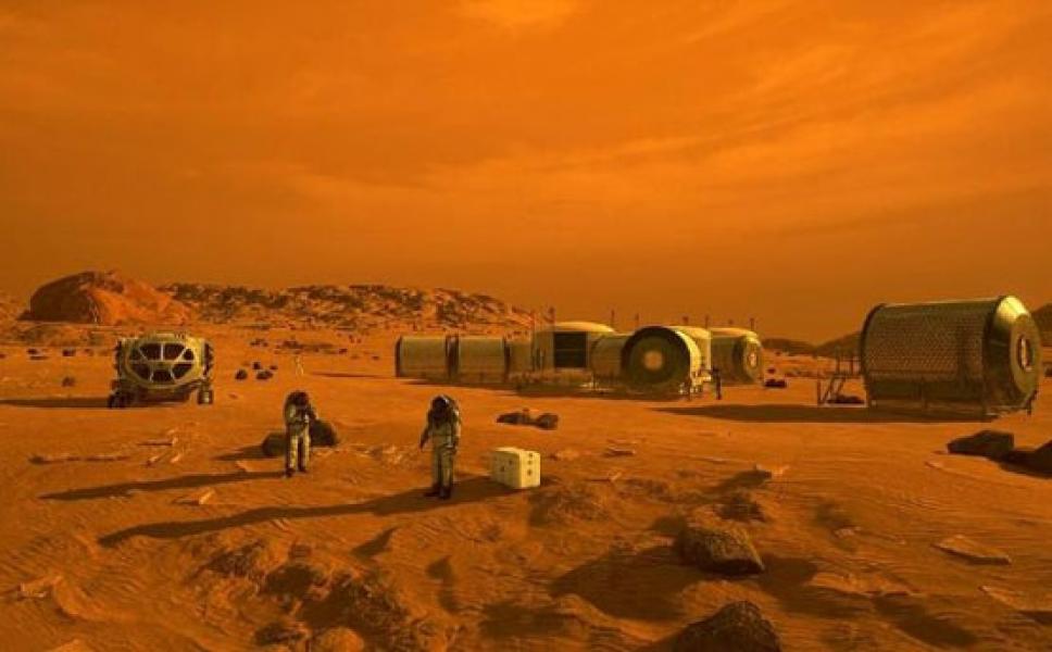 Riuh Perdebatan Soal Ada Serangga Hidup di Mars