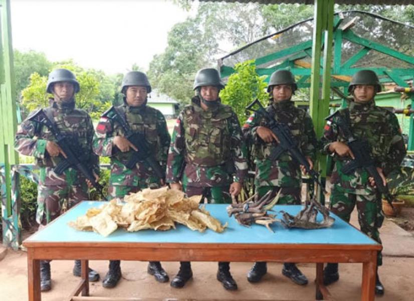 Satgas Pamtas RI-PNG Yonif 411Kostrad Amankan Gelembung Ikan dan Tanduk Rusa Ilegal