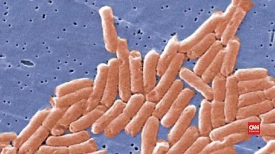 Sederet Bakteri �Penghuni� Toilet dan Bahayanya Bagi Tubuh