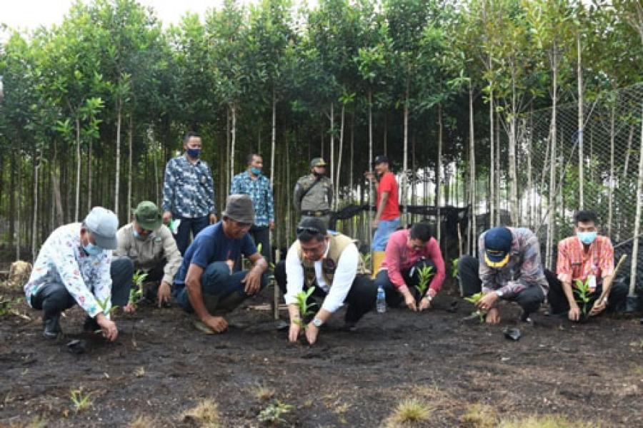 BPDAS Indragiri Rokan: Pemulihan Ekonomi Mesti Sejalan Dengan Pemulihan Lingkungan
