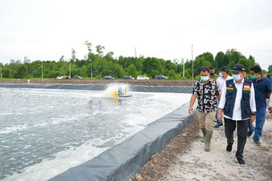 DPK Riau Akan Terus Kembangkan Potensi Perikanan Tambak