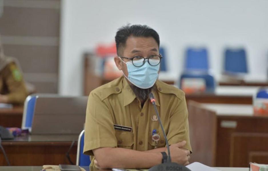 Ini 3 Langkah Rencana Aksi Riau Hijau