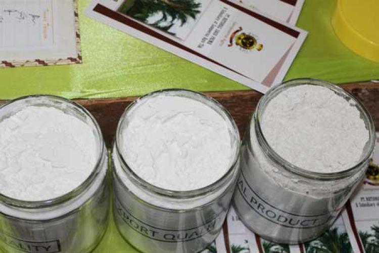 PT NSP Tampilkan Sagu Kualitas Terbaik di Meranti Expo 2013