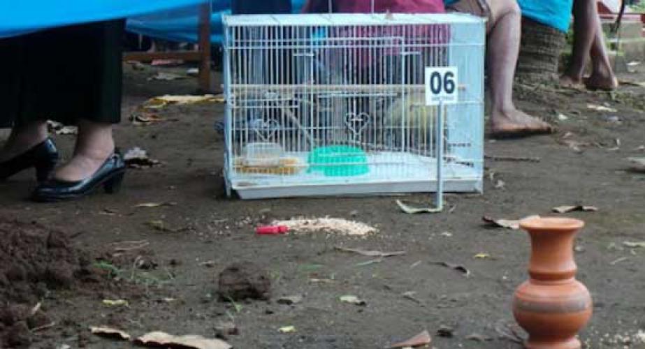 Ritual Mistis Apa Yang Dilakukan Pencuri Kepala Mayat Cilacap?