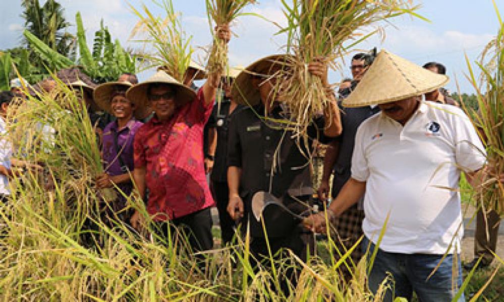 BP4KKP Inhu Gelar Mimbar Sarasehan KTNA 2014