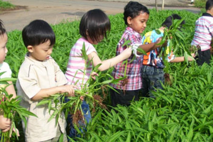 Bupati Siak Berharap Ada Generasi Penerus Petani Pangan