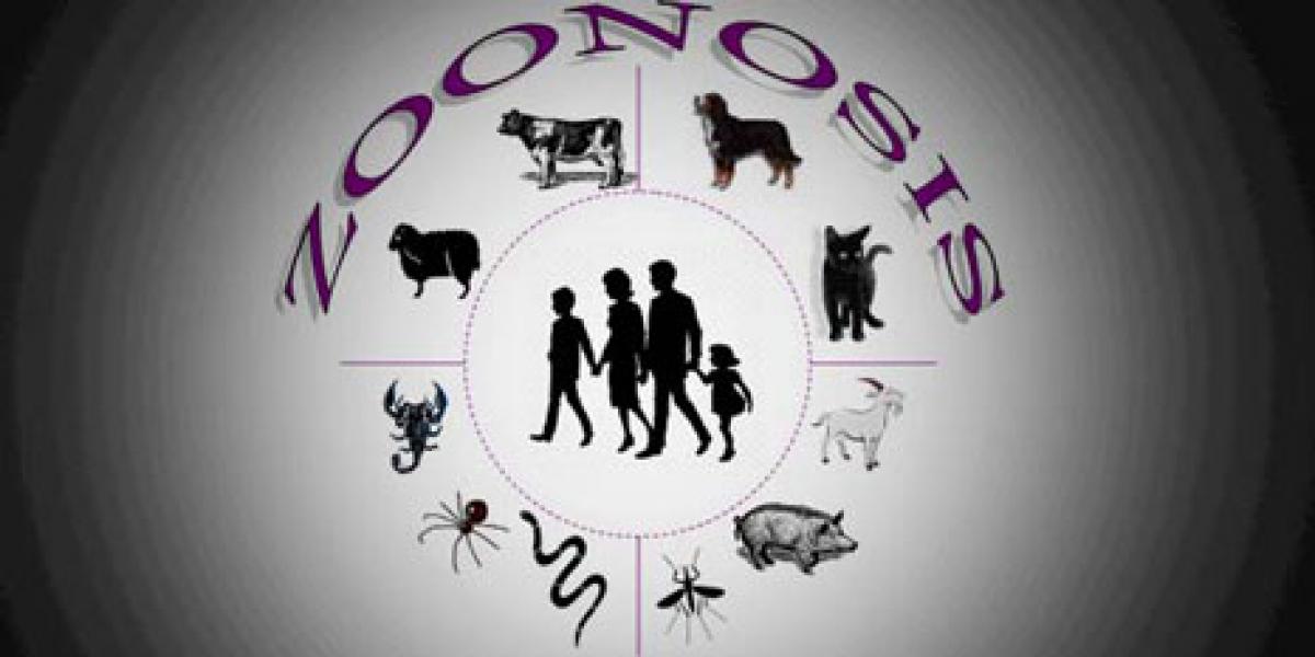 Meranti Terbaik Pencegahan Zonosis di Riau
