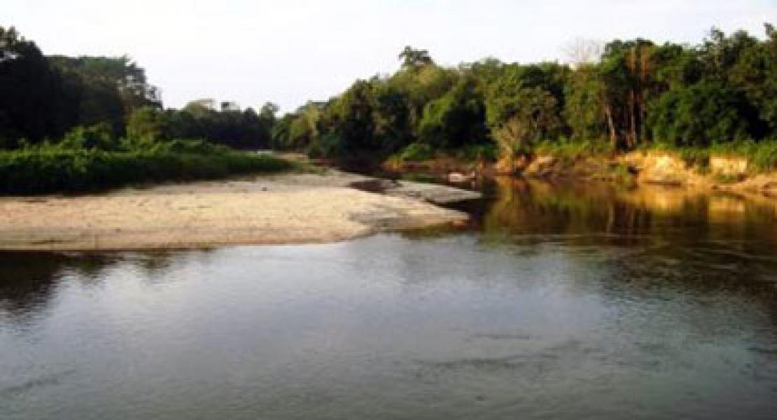 PT. SBAL Rusak Anak Sungai Tapung, Tangkapan Ikan Warga Berkurang