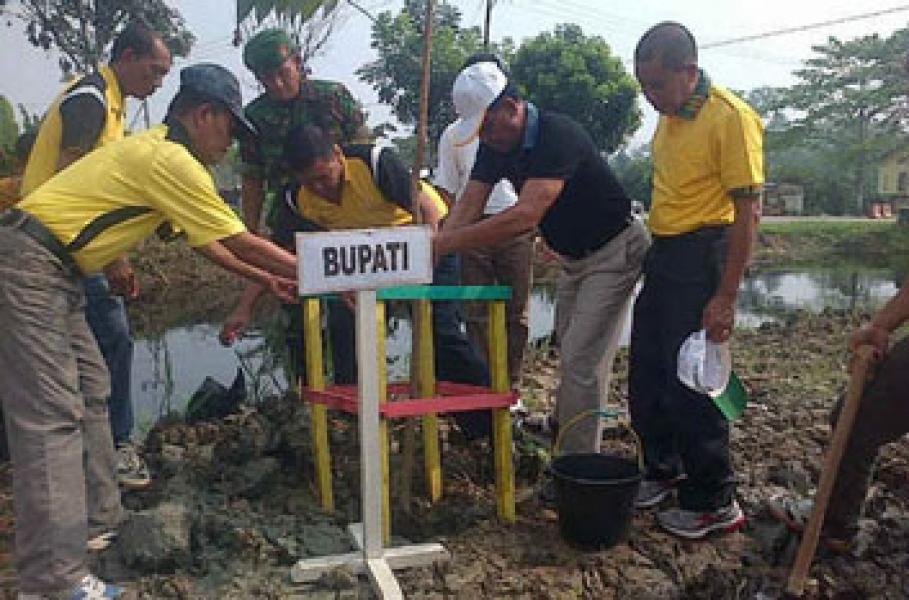 Peringati HUT Rohil ke 16, Pemkab Gelar Penanaman Pohon