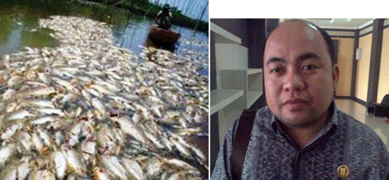 Terkait Matinya Ribuan Ikan di Sungai Kampar, 