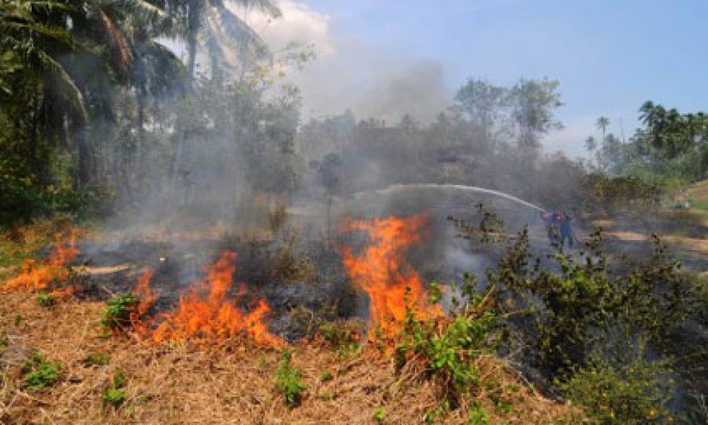 BMKG Prediksi Januari Kemarau, Riau Bagian Pesisir Diminta Jangan Membakar