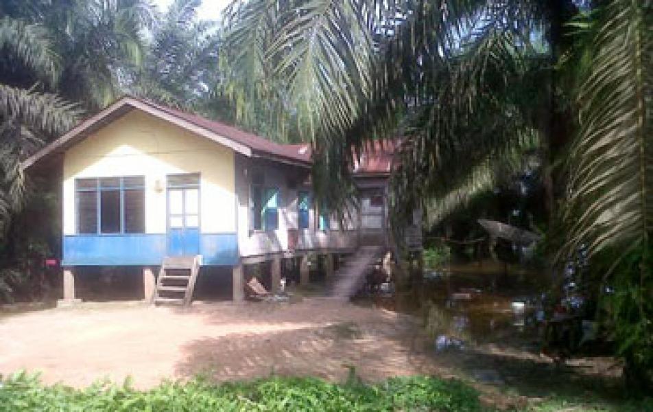 Berbagai Wilayah di Inhu Terancam Banjir