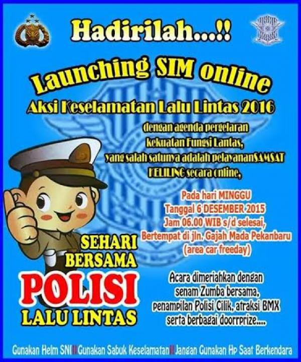 Launching Sim Online